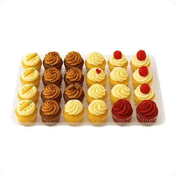 24 - Pack - Bites of Goodness