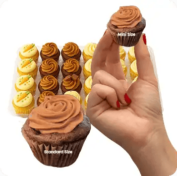 24 - Pack - Bites of Goodness