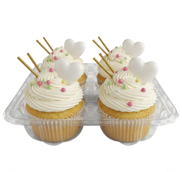 4 Bites Starter Box - Bites of Goodness